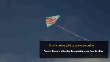 manual sony dsc h50 en espanol