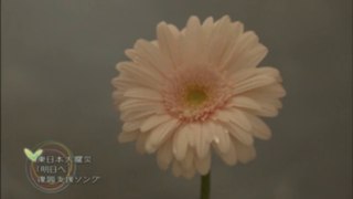 NHK復興支援ソング 花は咲く