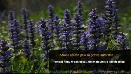 manual tablet samsung 10 1 espanol