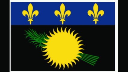 DON'ATELLO - IntroSitePOL AVCVK