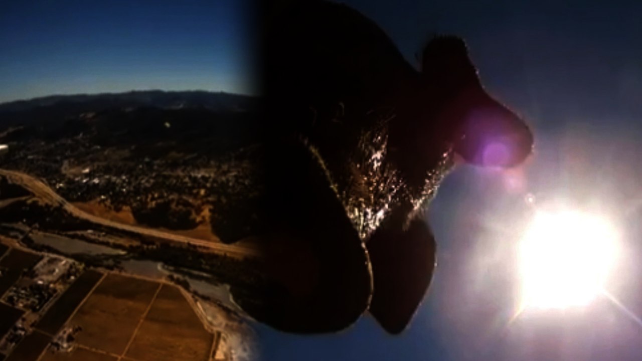 GoPro Survives Fall to Earth and Pigs