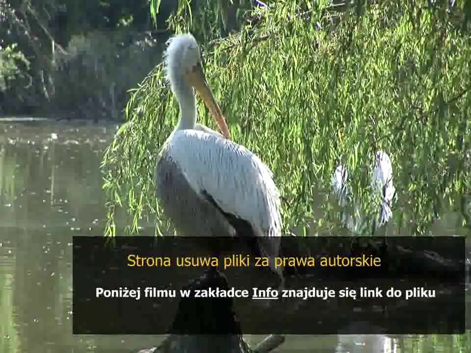 instrukcja obslugi czlowieka archiwum