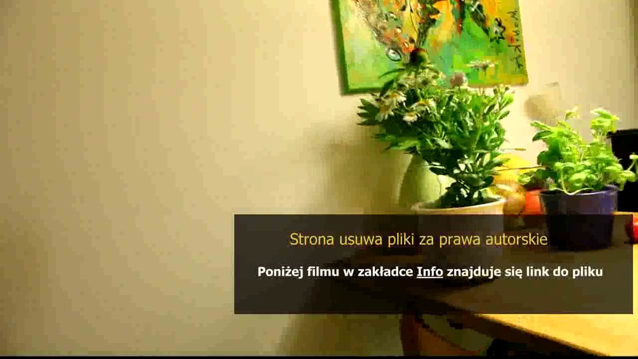 philips cl035a universal remote manual and codes