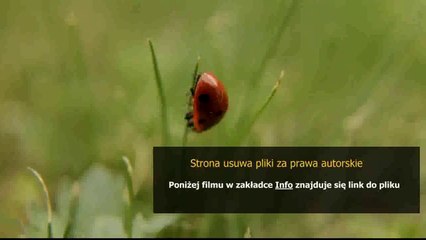 polska instrukcja obslugi honda crv