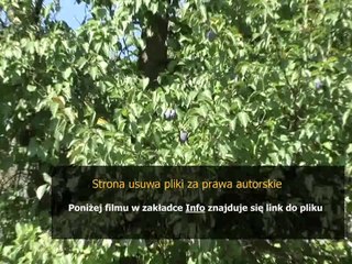 moj sposob na urode