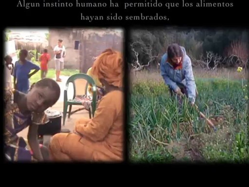 El don de nutrir