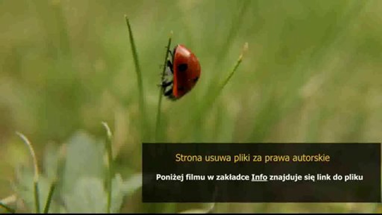 poradnik tokarza pdf chomikuj