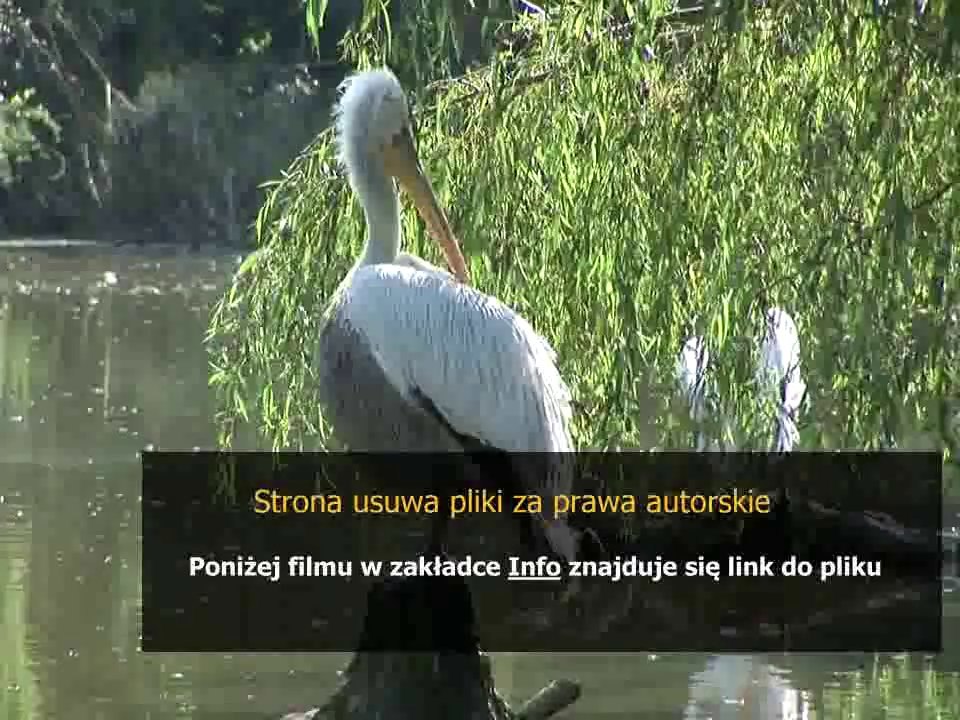 poradnik dla ekologicznych rodzicow