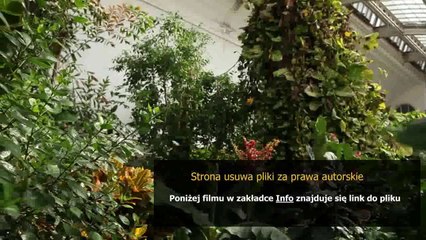 jak zdobyc kupon do croppa