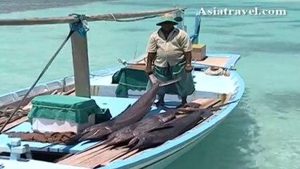Swordfish, Maldives by Asiatravel.com