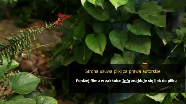 instrukcja obslugi pilota uniwersalnego philips