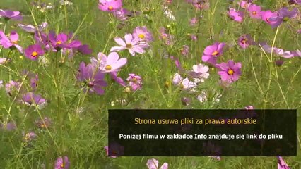 sony ericsson live view manual