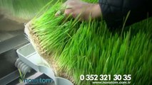 Novatom Taze Yem (Ot) Makinaları (Fresh Feed Machines) 40sn Reklam Filmi