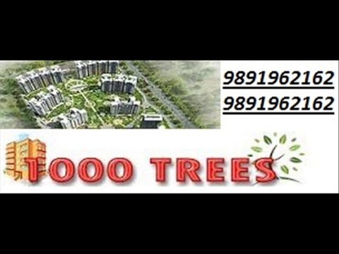 9891962162! geoworks 1000 trees sohna sector-6 gurgaon road