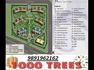 9891962162- great value 1000 trees sohna gurgaon road sector-6