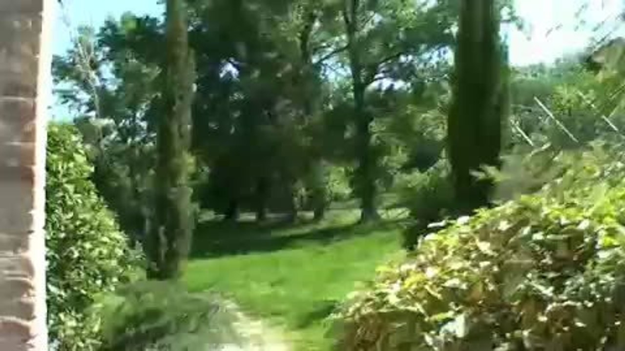 Rabbit House