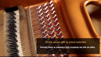 samsung solid b2710 instrukcja obslugi