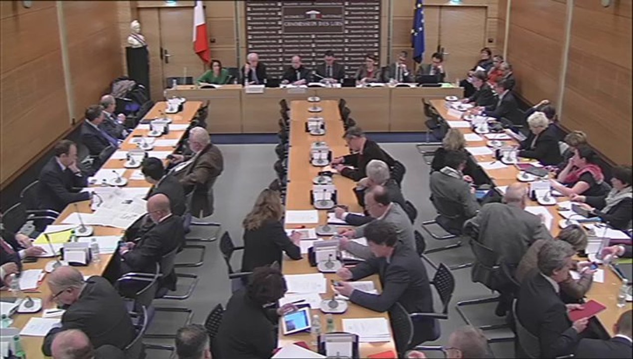 Audition de M. Jean-Marie Delarue, contrôleur général des lieux de privation de liberté - Mercredi 12 Février 2014