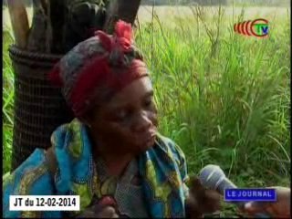 Télé-Congo : Journal du 12 février 2014 -  Partie 2