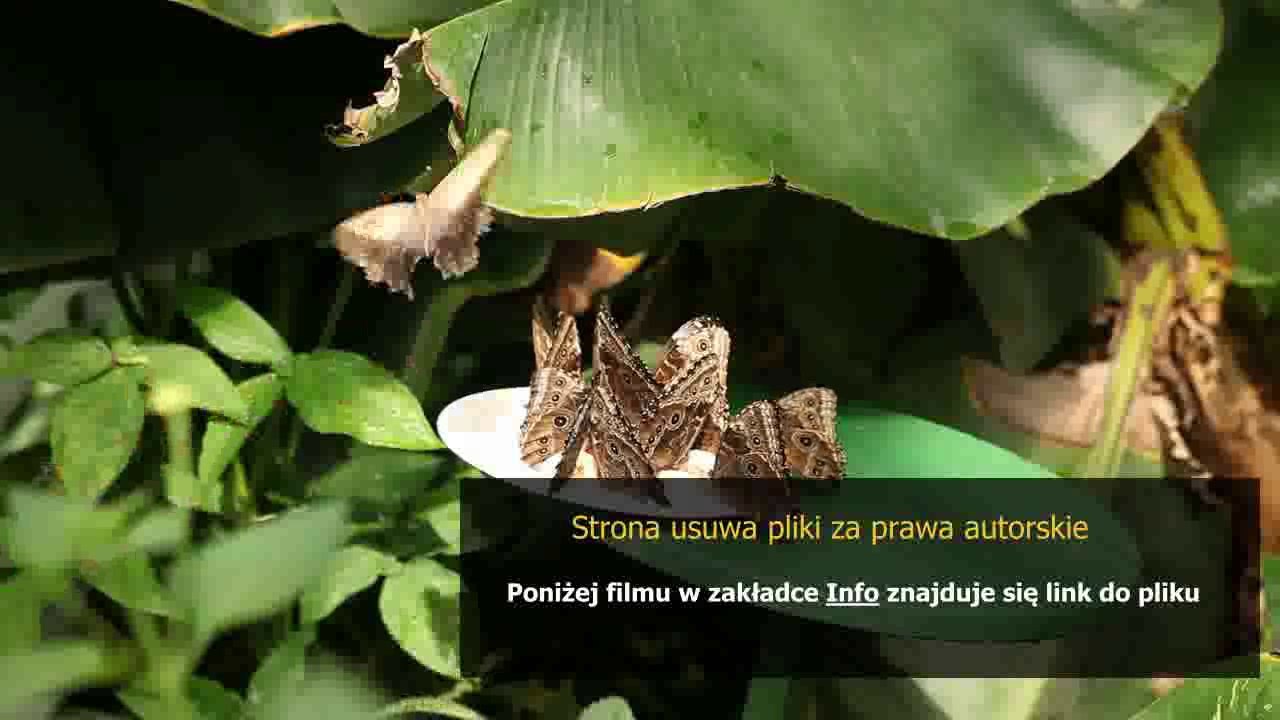 instrukcja pralka lg