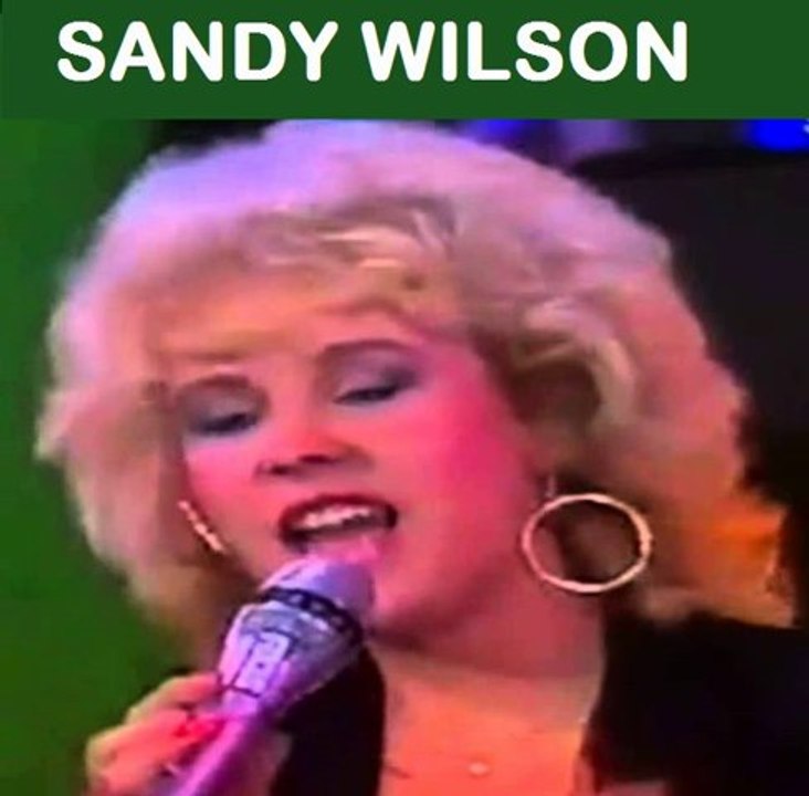 Sandy Wilson - Give Me Your Love Tonight (extended version)