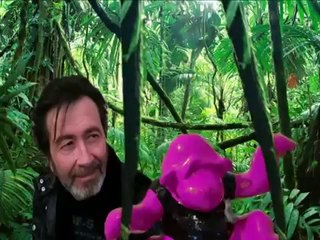 JUNGLE BY Yves Henry