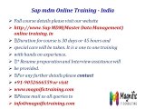 mdm(master data management) Live Online Training for sap - Hyderabad, Andhrapradesh