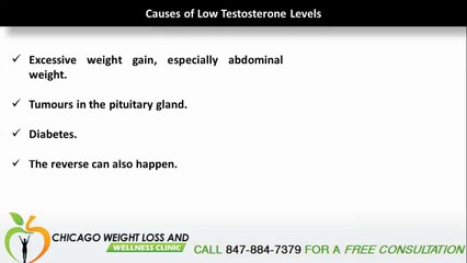 Important Information about Low T Levels - www.chicagoweightlossclinic.com
