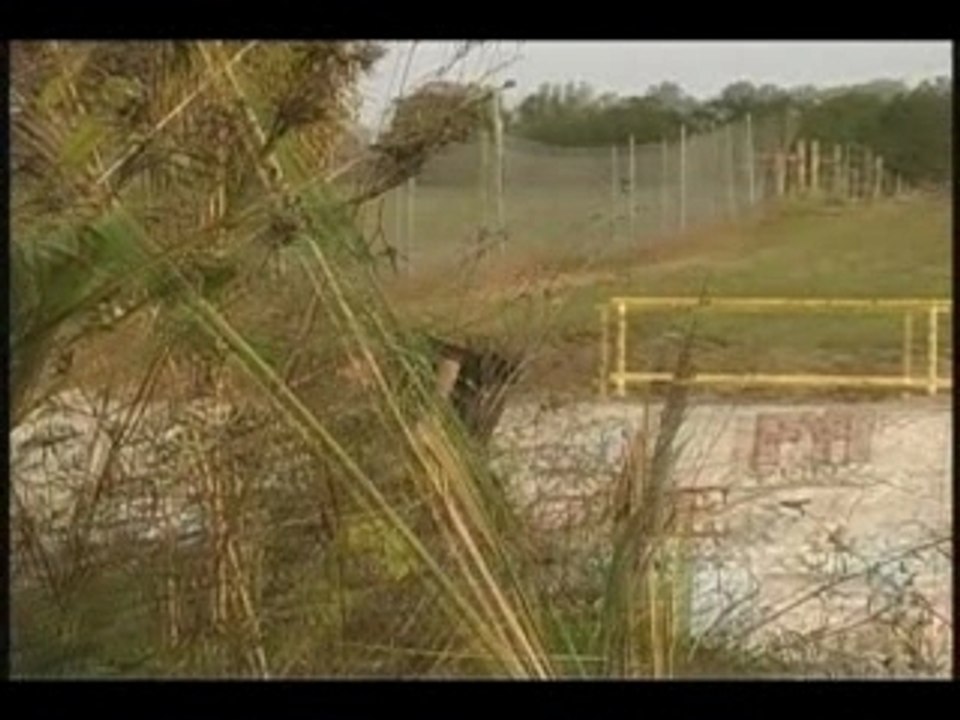 Jeph Howard : The Ditch