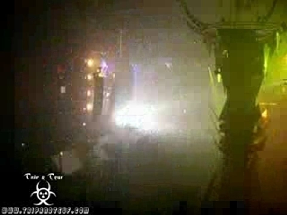 Dana Live2@Qlimax 2006 by Trip and Teuf