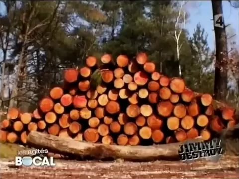 LES AGITES DU BOCAL EMISSION 13