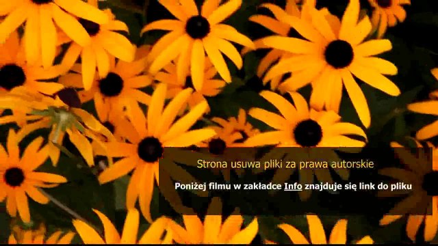 instrukcja obslugi pilota uniwersalnego maxy 1708