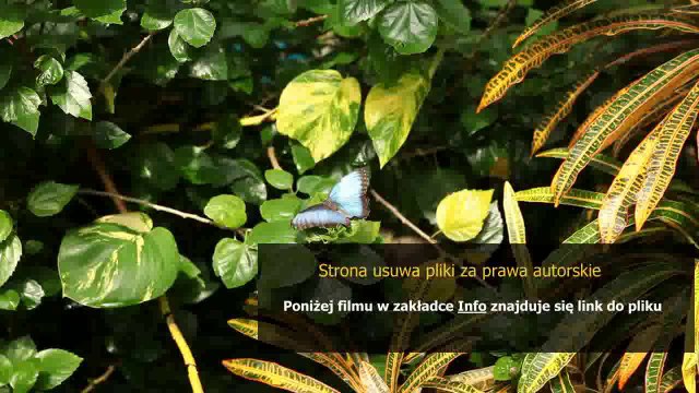 instrukcja obslugi pilota uniwersalnego maxy 1708