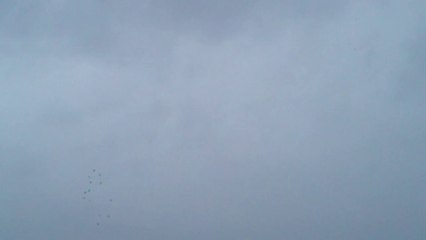 Doğan Polat Şanlıurfa Eğitim töküşü 2 www.guvercintv.com