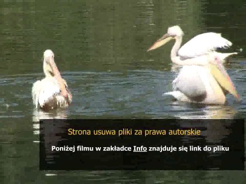 philips voice tracer lfh0615 user manual