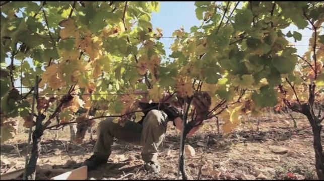 Extrait de Douces Frances Rhone Alpes HD