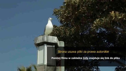 kupony promocyjne merlin pl