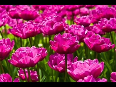 ανδρέας μπέμπος + ΚΑΛΟΓΙΑΝΝΗΣ ΩΡΑ ΜΗΔΕΝ