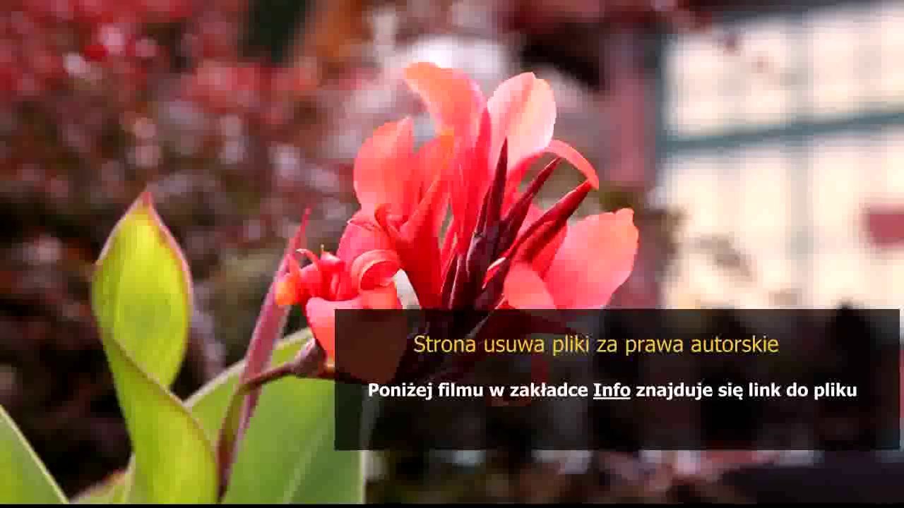 sposob na biznes na wsi