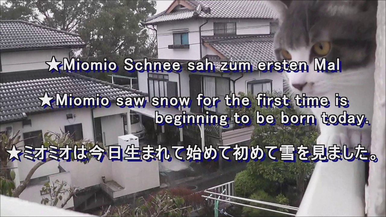 ミオミオは初めて雪を見ました,Miomio saw snow for the first time,Miomio看到雪的第一次
