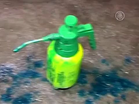 После свидания с Тимошенко Яценюка облили зеленкой