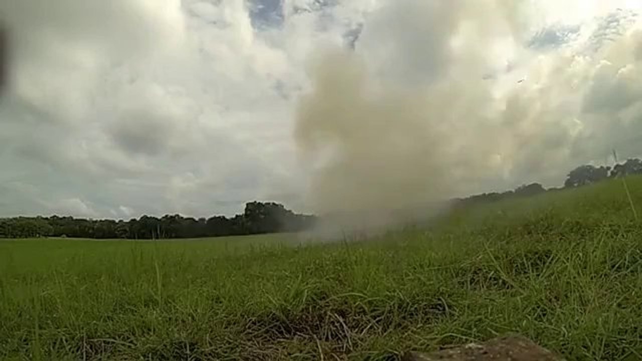 Finde den Schmetterling