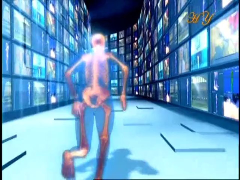 The spine the mobile main prop of the human body