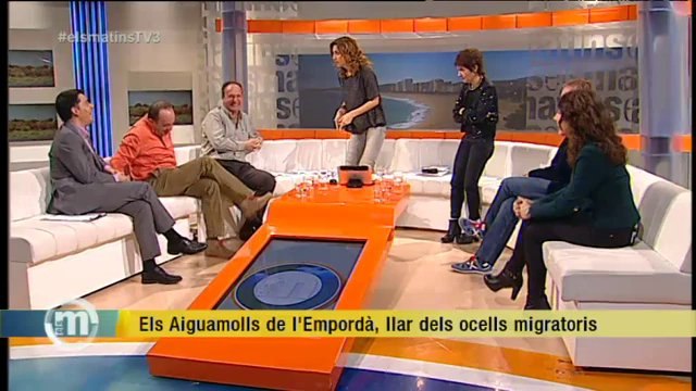 TV3 - Els Matins - Els Aiguamolls de l'Empordà, llar de les aus migratòries