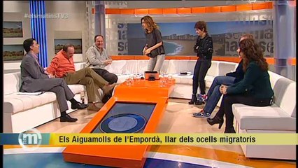 TV3 - Els Matins - Els Aiguamolls de l'Empordà, llar de les aus migratòries