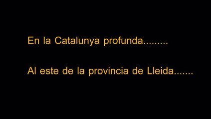 Publi-reportaje VI Matinal Motera Solidaria Ciutat de Cervera