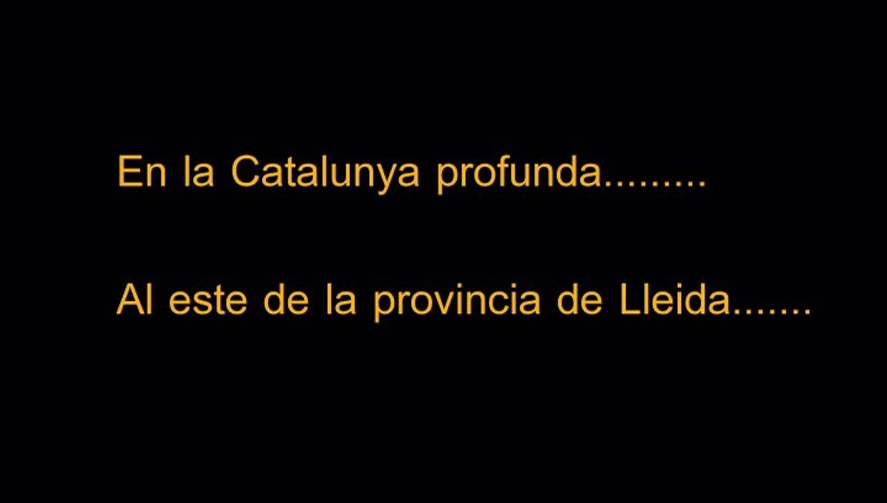 Publi-reportaje VI Matinal Motera Solidaria Ciutat de Cervera