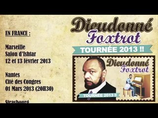 056_Dieudonné au Zénith de Toulon le 12 avril 2013