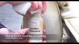 How_To_Fix_Cat_Scratches_On_Leather