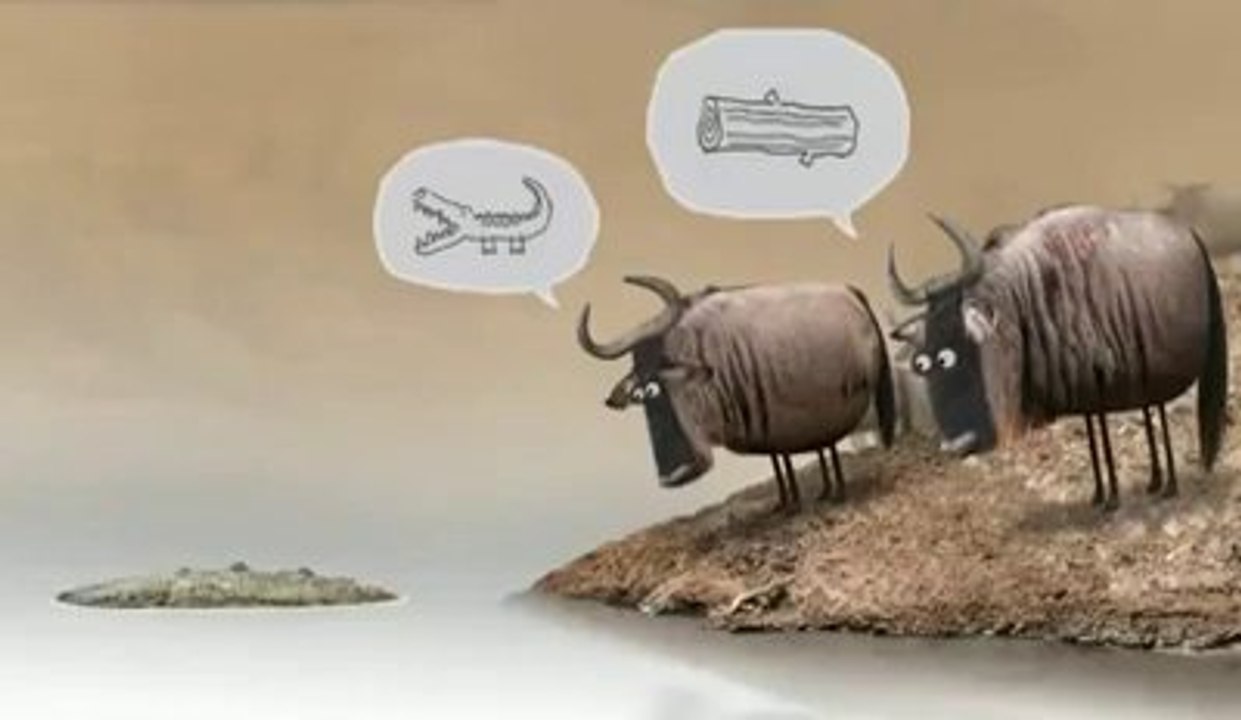 cow